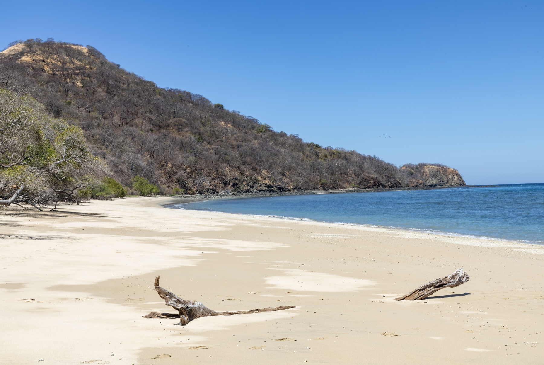 /gallery/central_america/costa_rica/guanacaste/calle punta gorda/Calle Punta Gorda Beach 2024-012_med.jpg